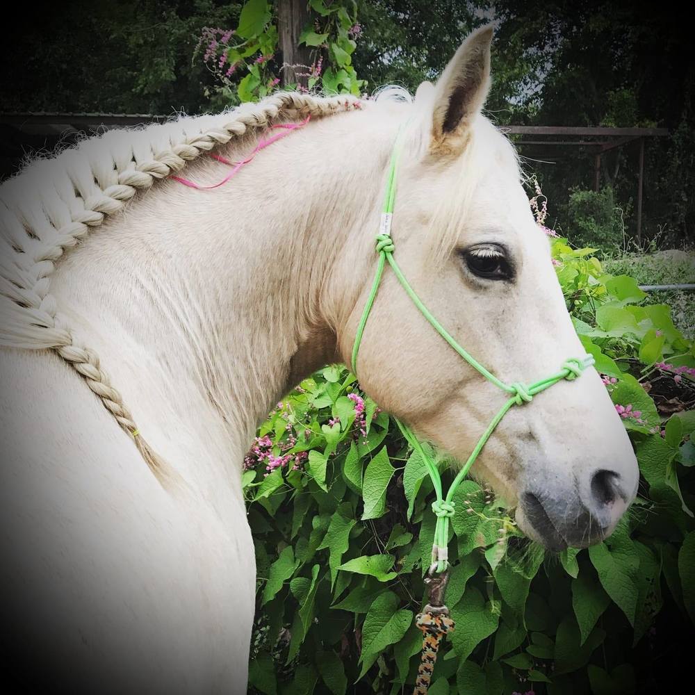 Meet your Posher, Heather